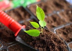 土壤養(yǎng)分檢測(cè)儀的應(yīng)用主要是在哪里？