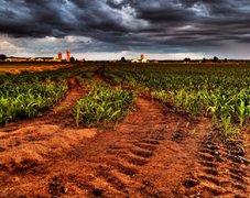 土壤養(yǎng)分分析儀對土壤有什么作用？